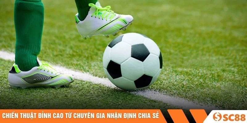 Chiến thuật đỉnh cao từ chuyên gia nhận định chia sẻ