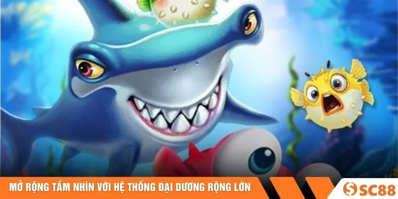 Mở rộng tầm nhìn với hệ thống đại dương rộng lớn