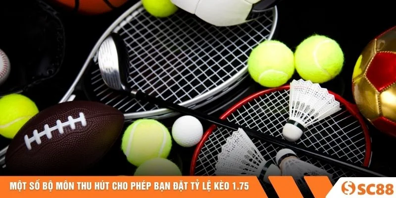 Một số bộ môn thu hút cho phép bạn đặt tỷ lệ kèo 1.75